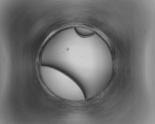 X0000113890911200909241140