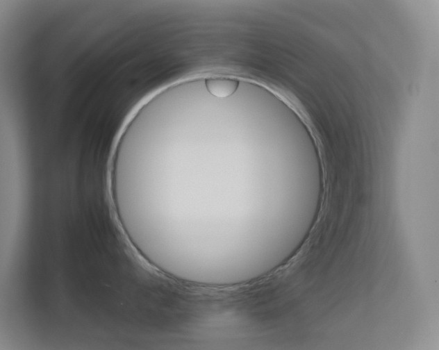 X0000113890912200909241140
