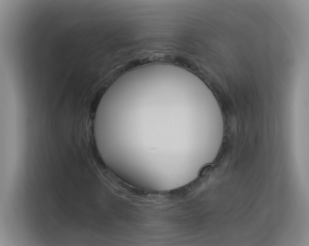 X0000113890914200909241139