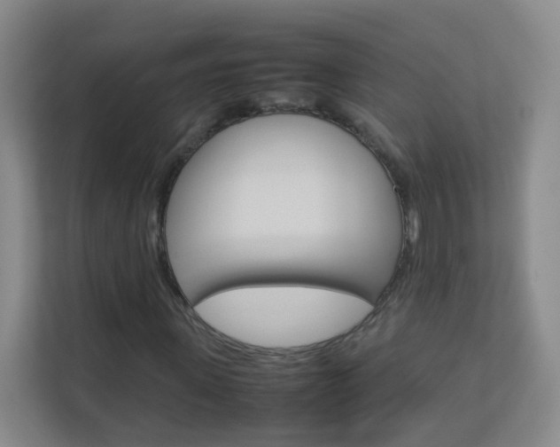 X0000113890915200909241139