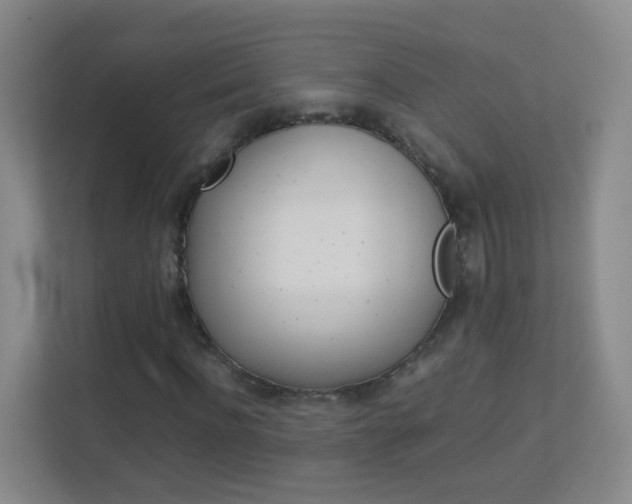 X0000113890916200909241139