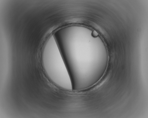 X0000113890922200909241139
