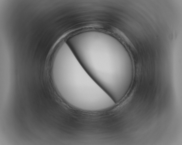 X0000113890923200909241139