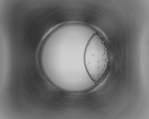 X0000113890925200909241139