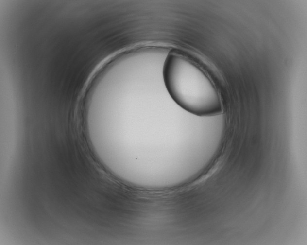X0000113890926200909241139