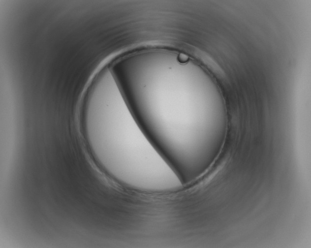 X0000113890934200909241139