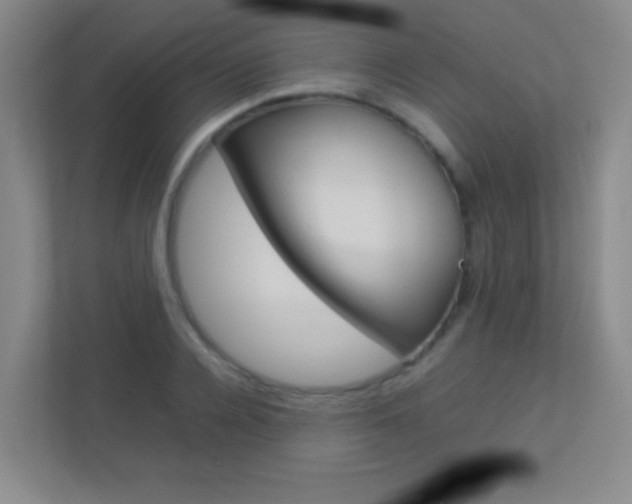 X0000113890936200909241139