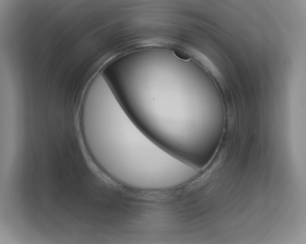 X0000113890946200909241139