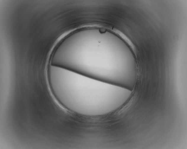X0000113890951200909241139