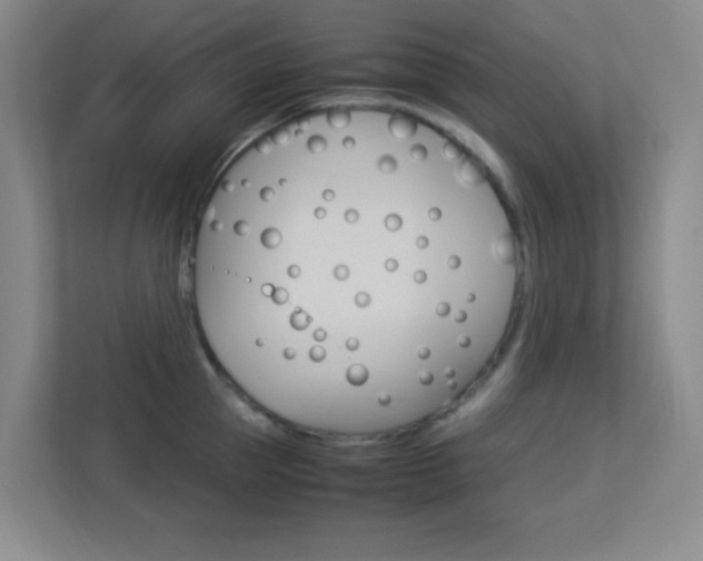 X0000113890953200909241139