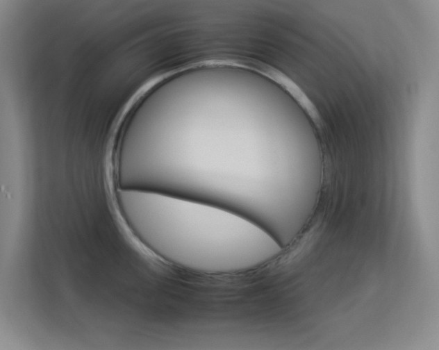 X0000113890955200909241139
