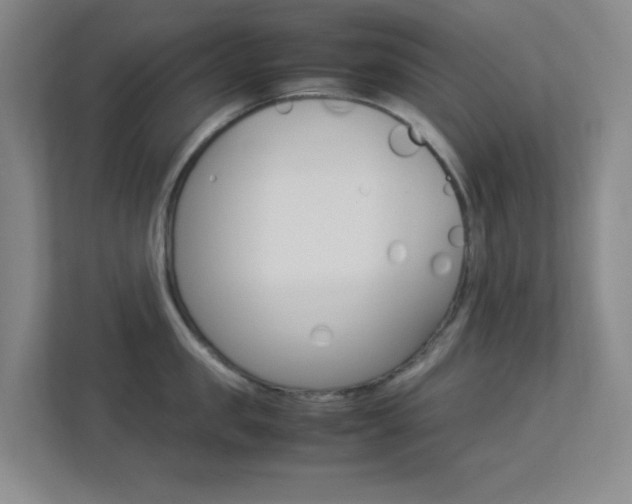 X0000113890957200909241140