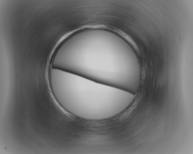X0000113890959200909241140