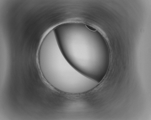 X0000113890960200909241140