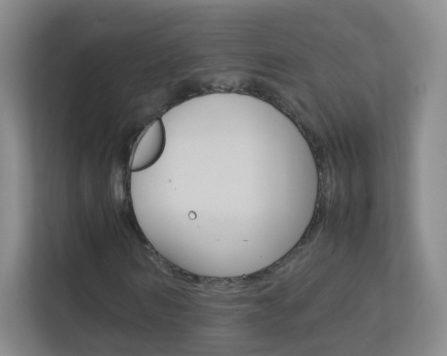 X0000113890962200909241139