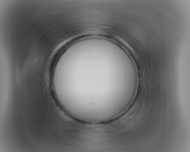 X0000113890971200909241139