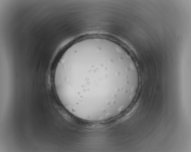 X0000113890974200909241139
