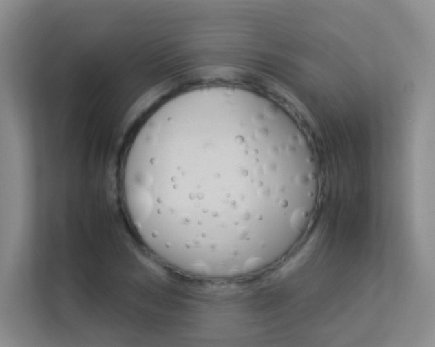 X0000113890978200909241139