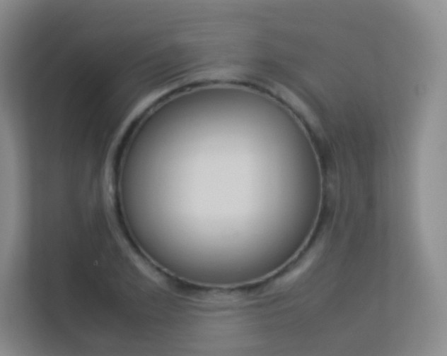 X0000113890981200909241139