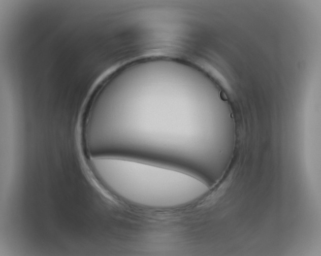 X0000113890991200909241139