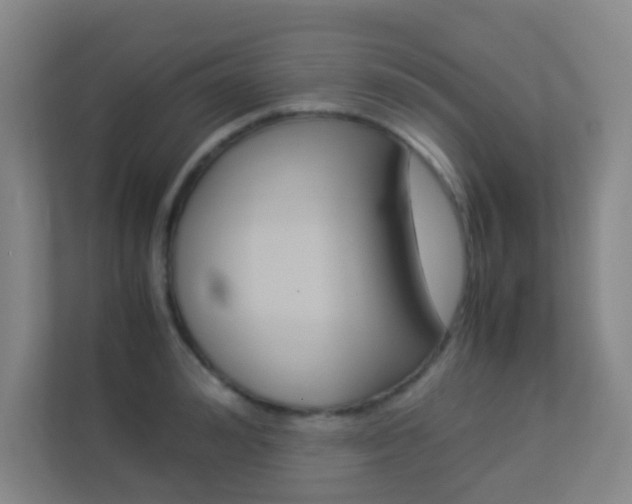 X0000113890992200909241139