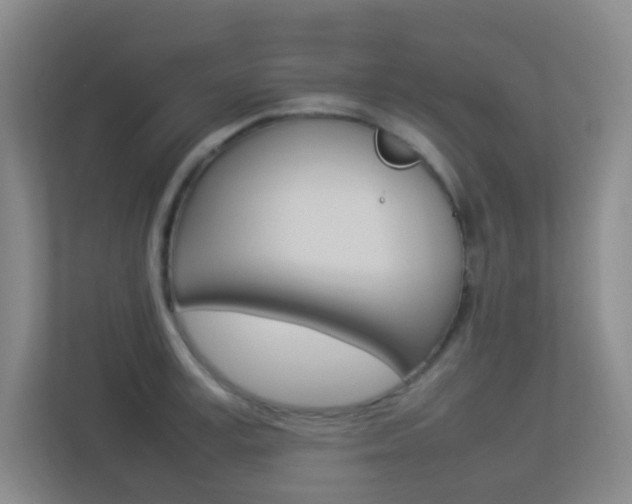 X0000113890995200909241138