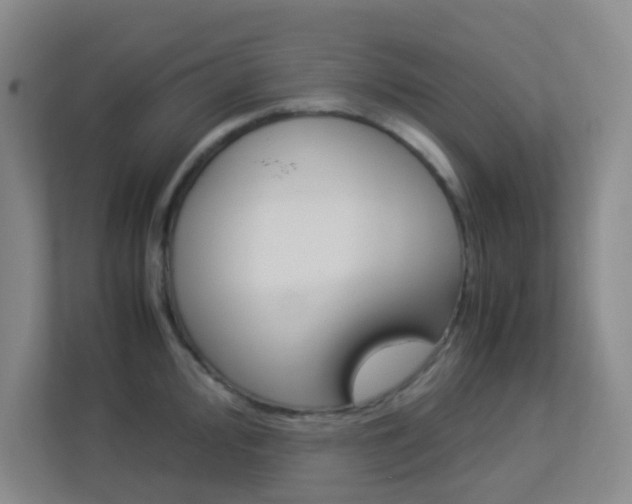 X0000113891000200909241138