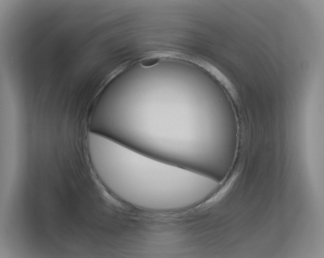 X0000113891001200909241138