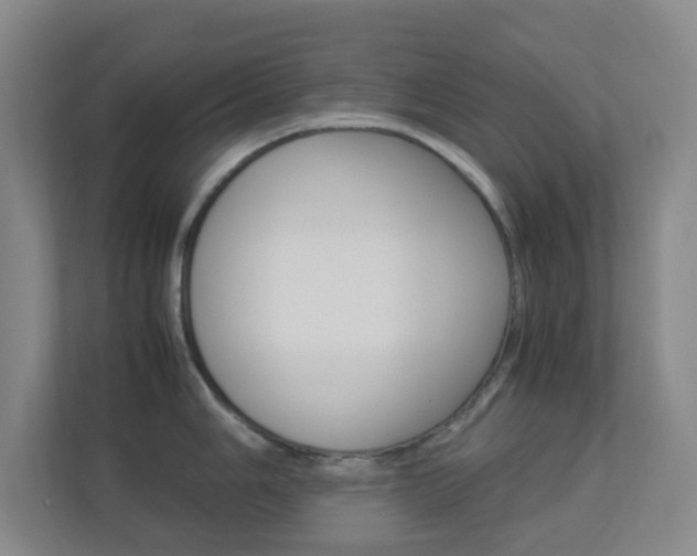 X0000113891006200909241138