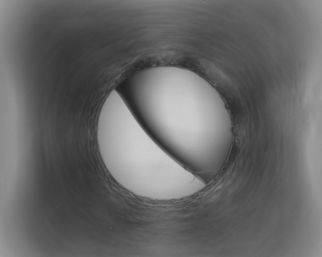 X0000113891010200909241138