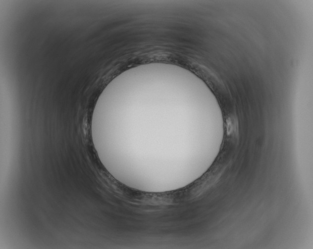 X0000113891011200909241138