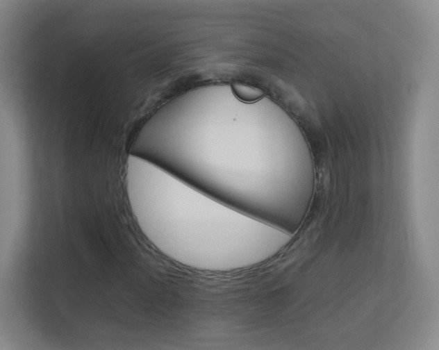 X0000113891012200909241138