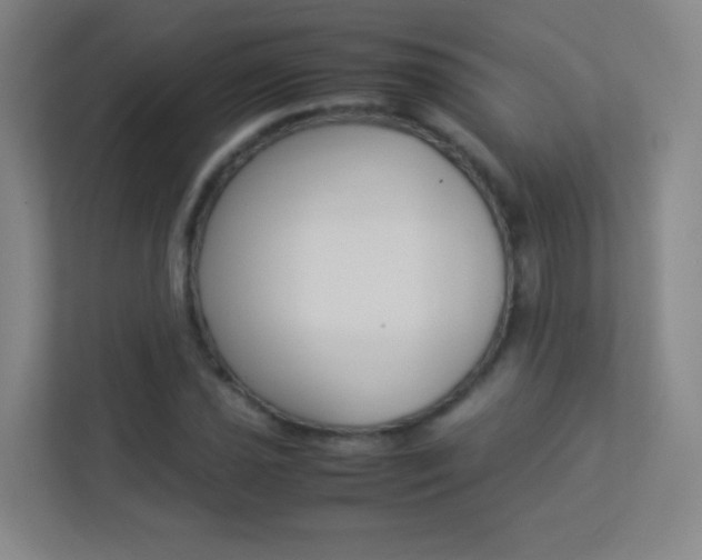X0000113891021200909241138