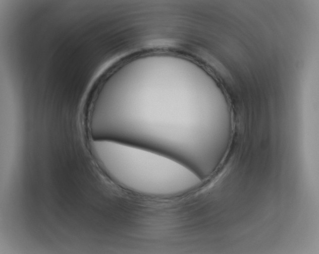 X0000113891022200909241138