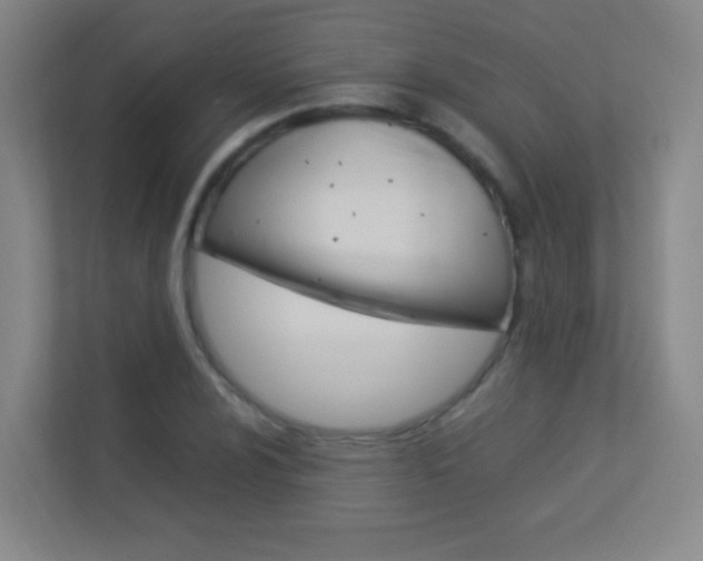 X0000113891024200909241138