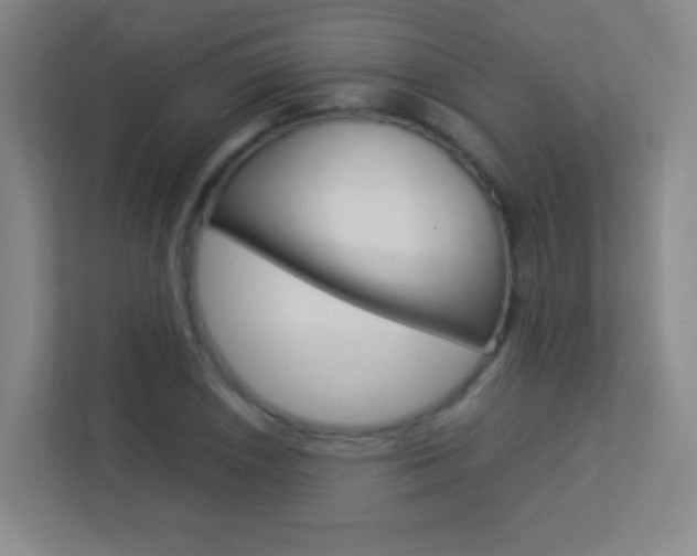 X0000113891026200909241138