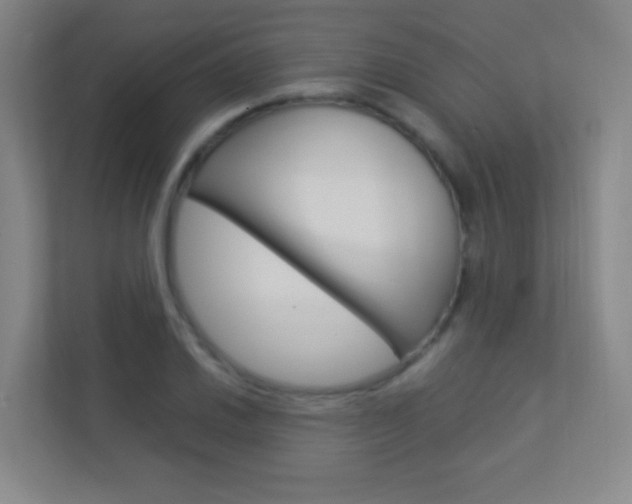 X0000113891030200909241138