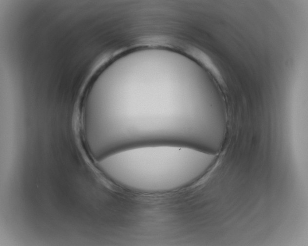 X0000113891040200909241138