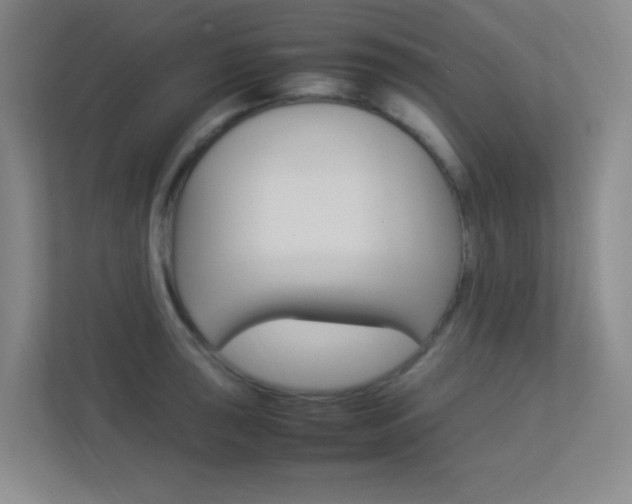 X0000113891043200909241138