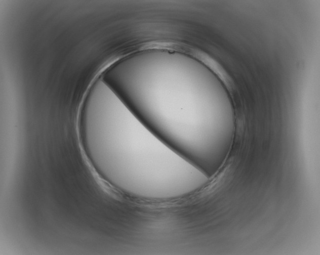 X0000113891050200909241138