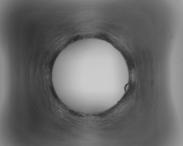 X0000113891059200909241138