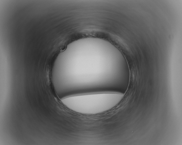 X0000113891060200909241138