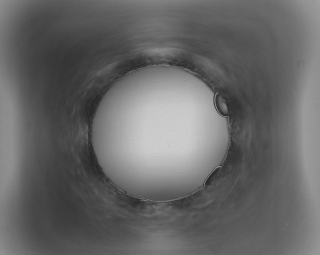 X0000113891061200909241138