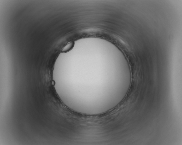 X0000113891062200909241138