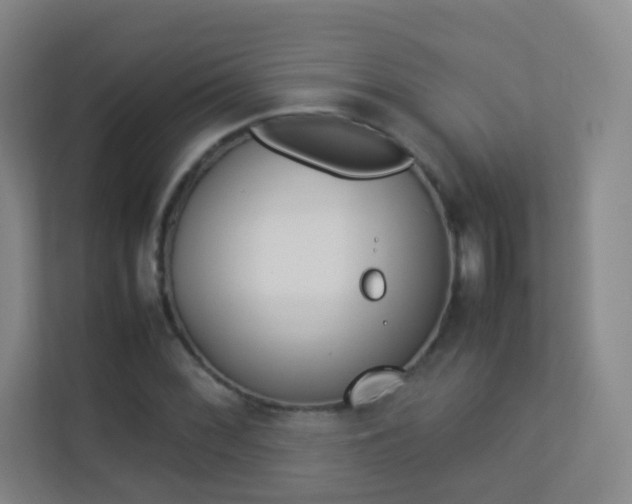 X0000113891068200909241138