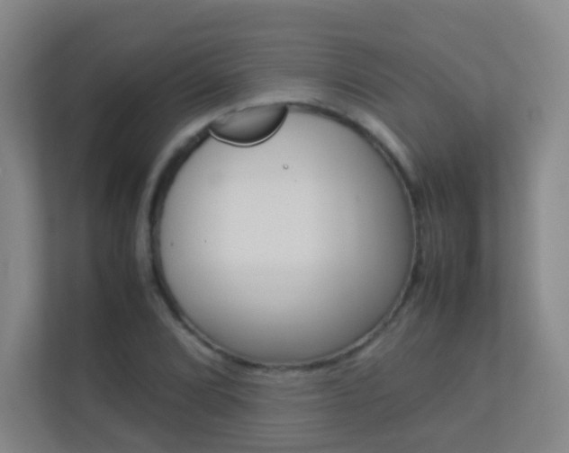 X0000113891072200909241137