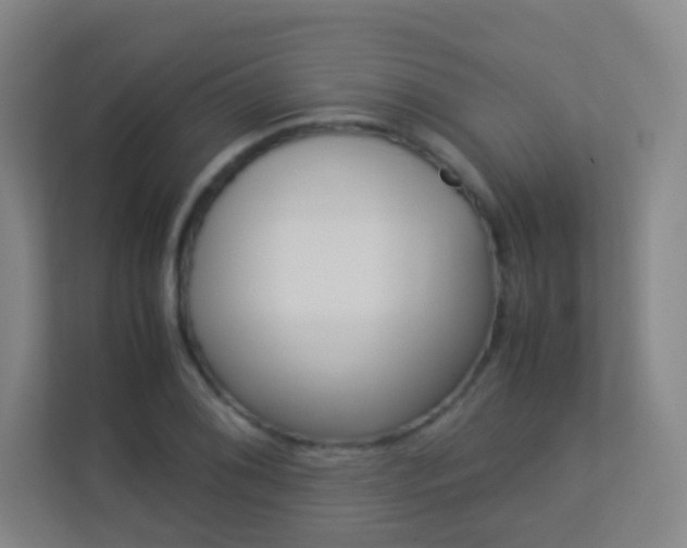 X0000113891076200909241137