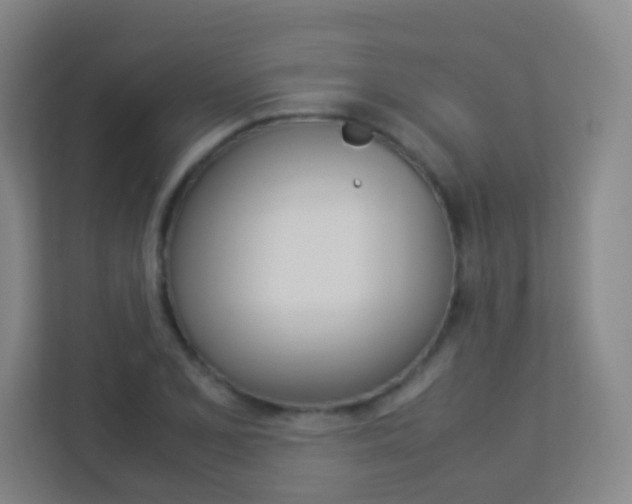 X0000113891077200909241137