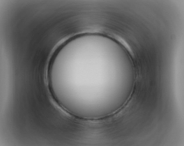 X0000113891080200909241137