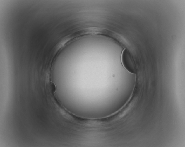 X0000113891081200909241137
